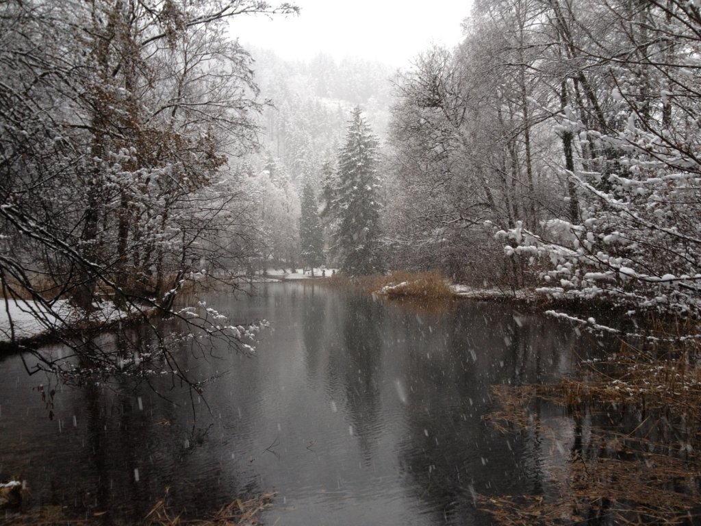 Blick auf einen Teich im Matzen Park bei heftigem Schneefall am 17.12.2011.