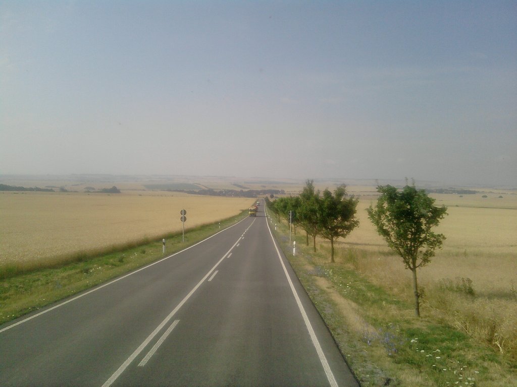 Blick auf die  endlos  erscheinenden Getreidefelder Thringens, aufgenommen am 22.07.10. 