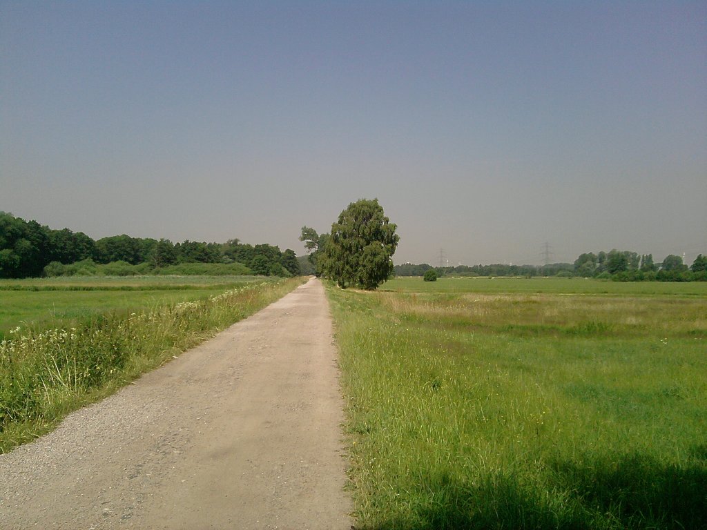 Blick auf das Finkenwerder Marschland (Harburg),bei super Wetter und 
extremer Hitze(+36 Grad!),aufgenommen am 09.07.10.