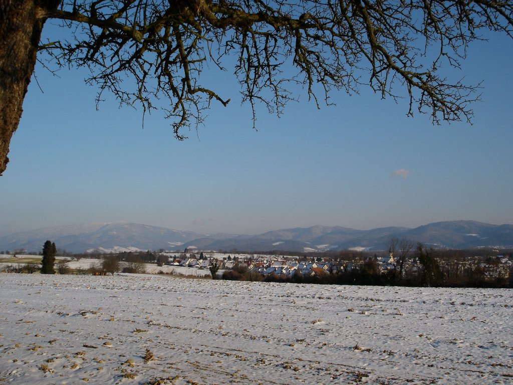 Blick auf Hochdorf in der Rheinebene, im Hintergrund der Schwarzwald, Feb.2008