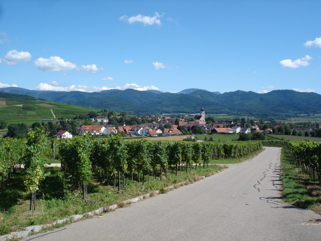 Blick auf Kirchhofen,
Weinort im Markgräflerland,
Juli 2007 