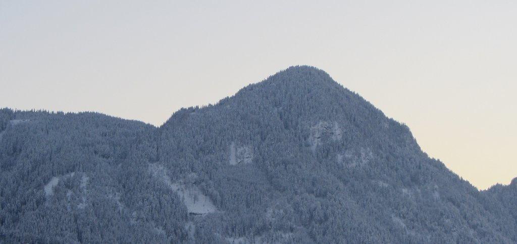 Blick auf den Reither Hinterkogel mit vielen vereisten Bumen am 25.1.2012.