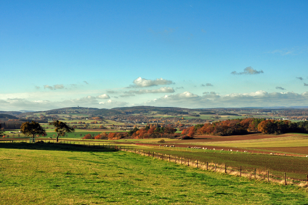 Blick auf die sanften Hgel der Voreifel bei Bad Mnstereifel - 12.11.2012