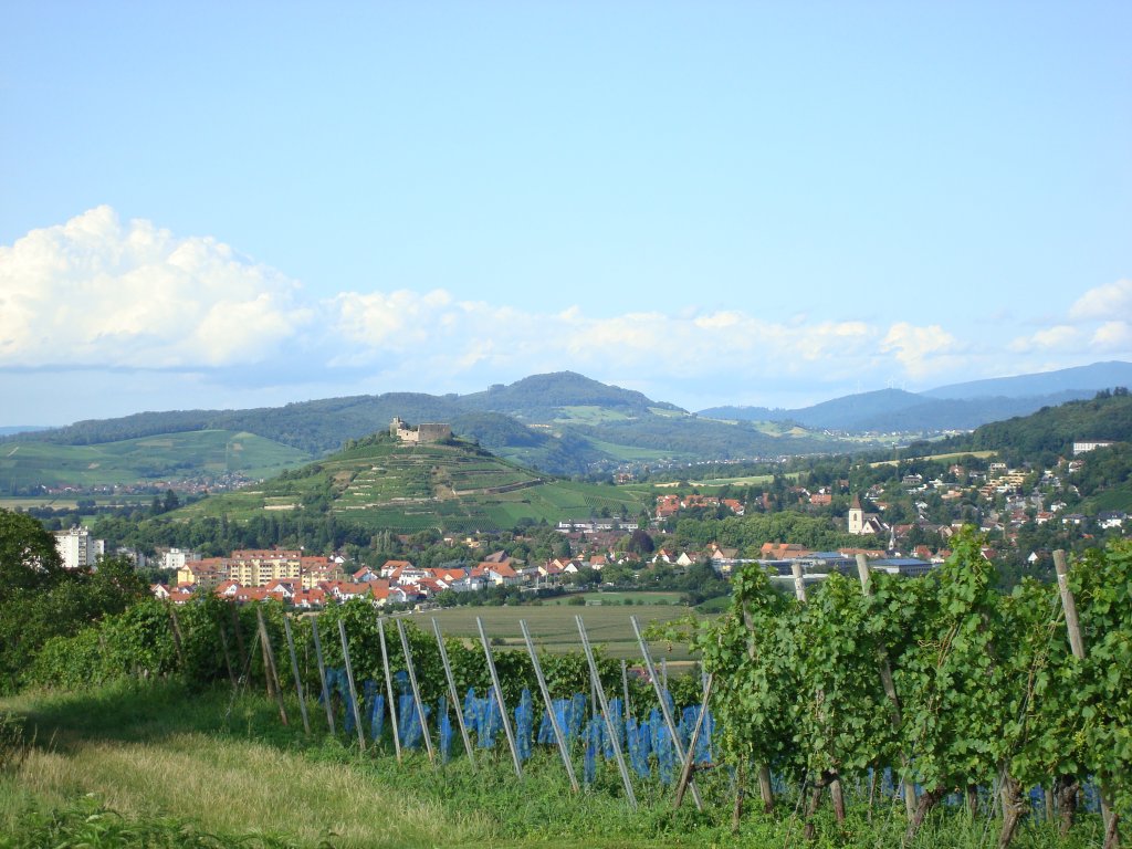 Blick auf Staufen im Markgrflerland,
Juli 2009