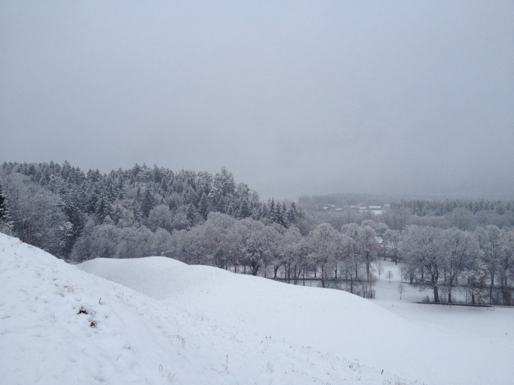 Blick auf den verschneiten Abhang am Matzen Park bei Brixlegg und die vereisten Bume.(17.12.2011)
