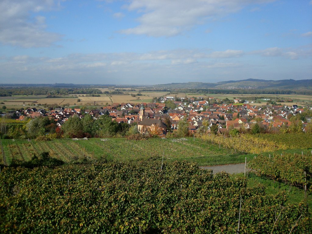 Blick auf den Weinort Merdingen am Tuniberg, rechts im Hintergrund der Kaiserstuhl, Sept.2008