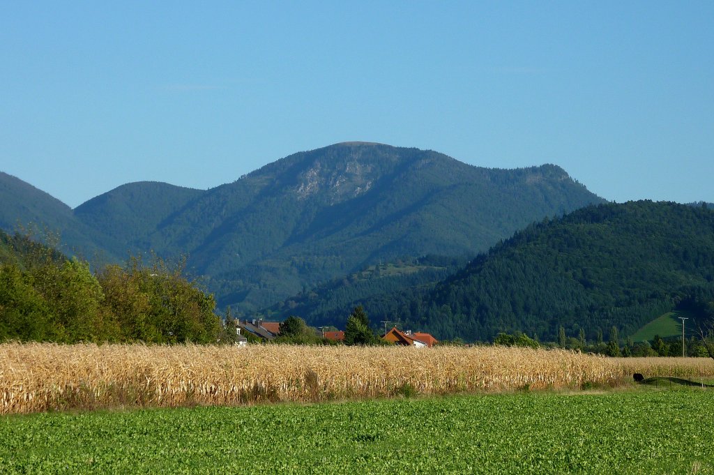 Blick aus der Rheinebene bei Staufen zum Belchen mit 1414m Hhe, Sept.2012