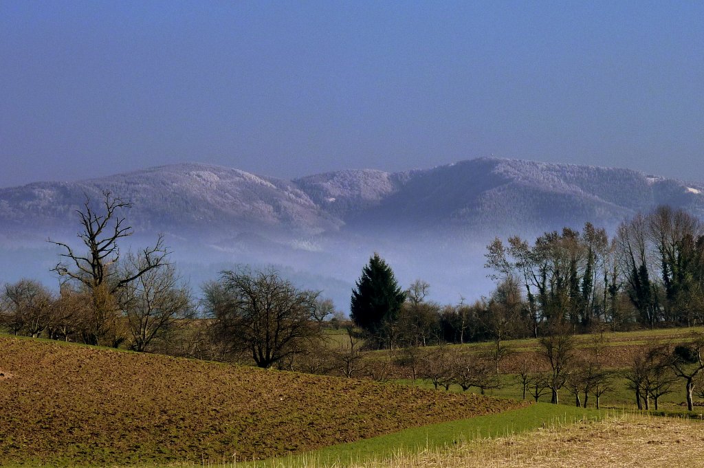 Blick aus der Rheinebene zum tiefverschneiten 1284m hohen Schauinsland/Schwarzwald, Mrz 2013 