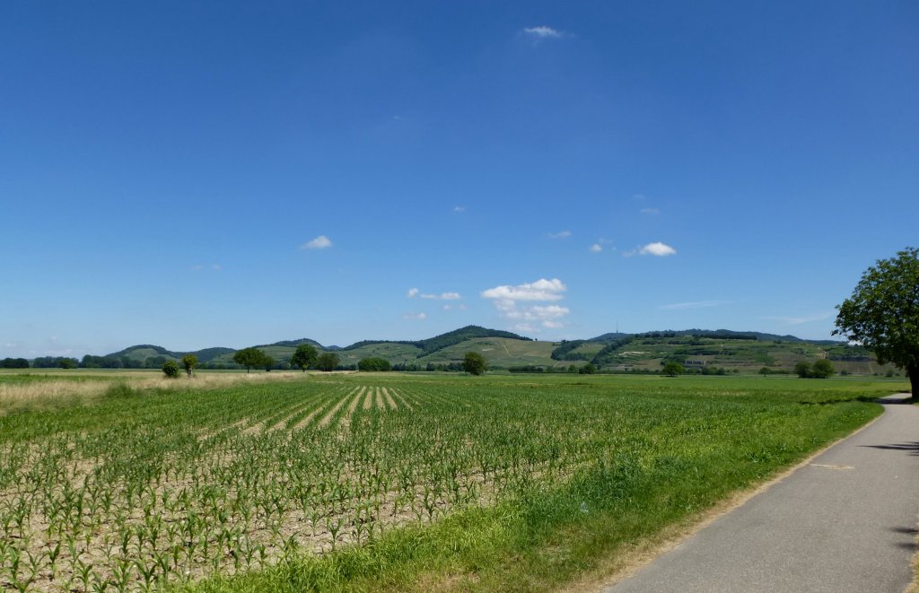 Blick aus Richtung Breisach auf den westlichen Kaiserstuhl, Juni 2013