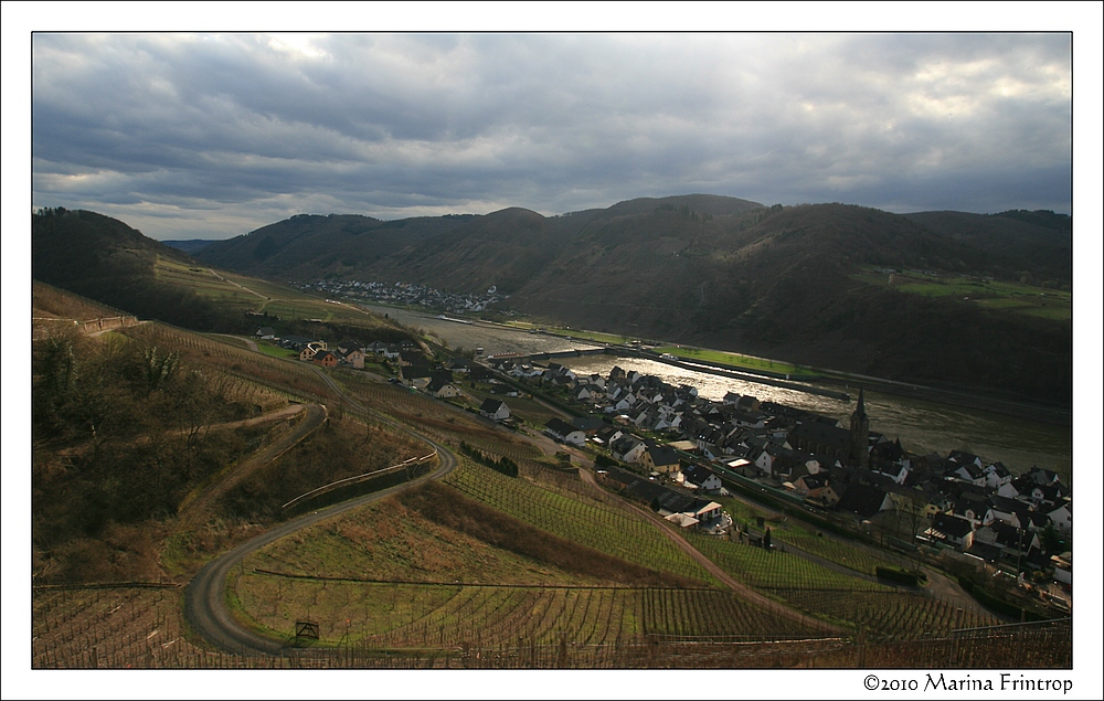 Blick aus den Weinbergen oberhalb von Neef auf die Mosel und die Staustufe St. Aldegund.