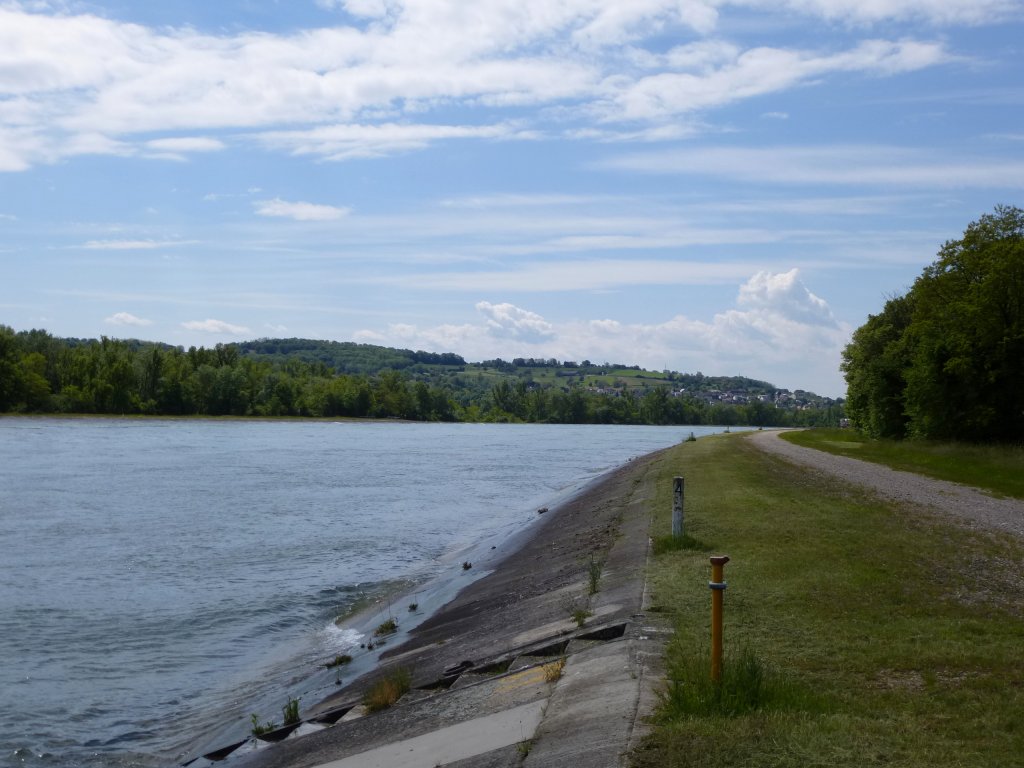 Blick ber den Rheinseitenkanal bei Ottmarsheim zum Markgrflerland, Mai 2013