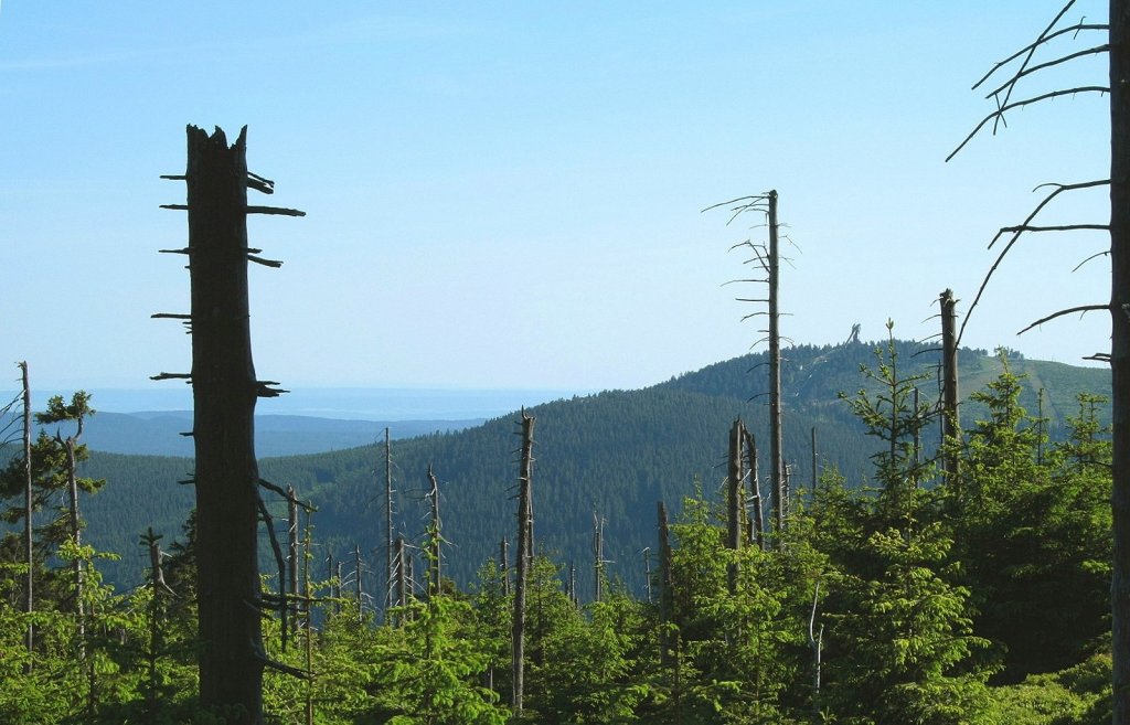 Blick von der Brockenstrae bei Schierke am 30.05.2011 Richtung Wurmberg, Sdharz bis zum Thringer Wald am Horizont.