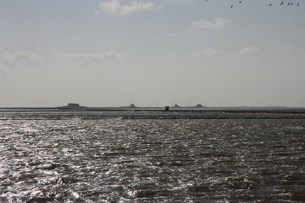 Blick vom Deich am Lttmoorsiel zur Hallig Nordstrandischmoor mit ihren 4 Warften (v.l.n.r.: Neuwarft, Amalienwarft, Halber Weg, Norderwarft). Hinter der Hallig im Dunst die Insel Pellworm. Im Vordergrund die Lebensader zwischen Festland und Hallig, der Lorendamm der Halligbahn, mit einer Lore auf der Fahrt nach Lttmoorsiel. (20.04.2010)