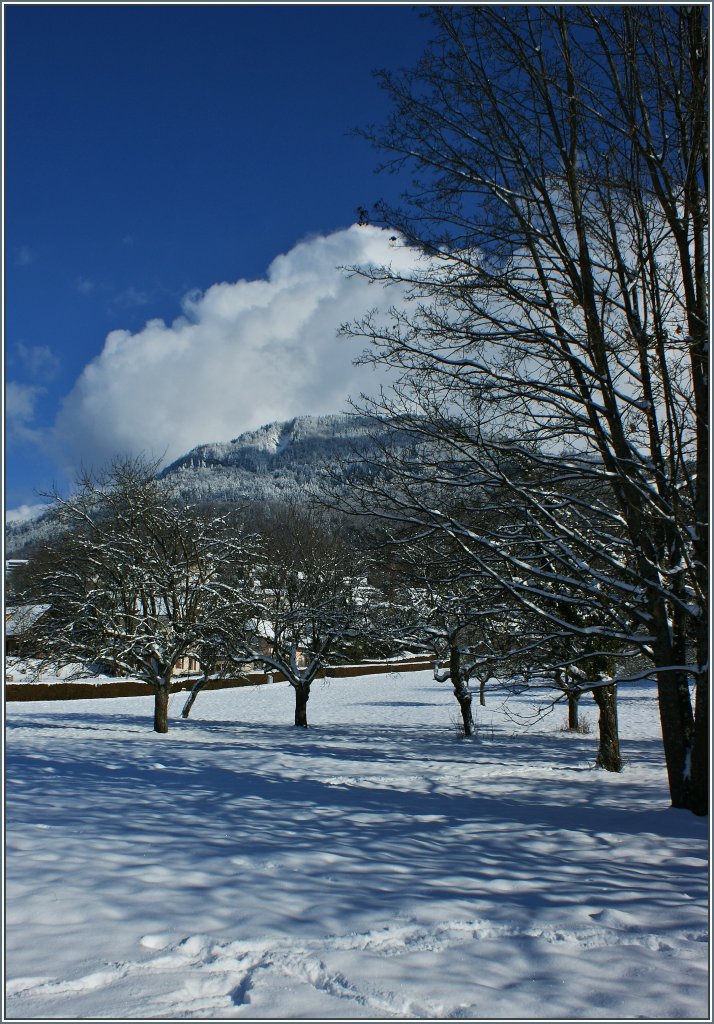 Blick durch verschneite Obstbume auf den Les Pliades(1348m..M.)
(16.01.2013)