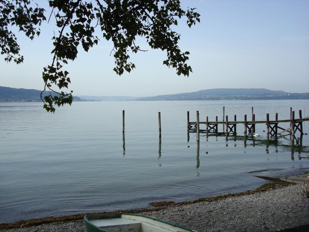 Blick von der  Gemseinsel  Reichenau auf den Untersee,
den sd-westlichen Teil des Bodensees,
Sept.2008