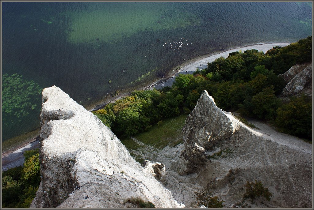 Blick hinunter auf die Kreidefelsen und das Meer von der Viktoria-Sicht, einem von Knig Wilhelm I. benannten Aussichtsplatz.
(17.09.2010)
