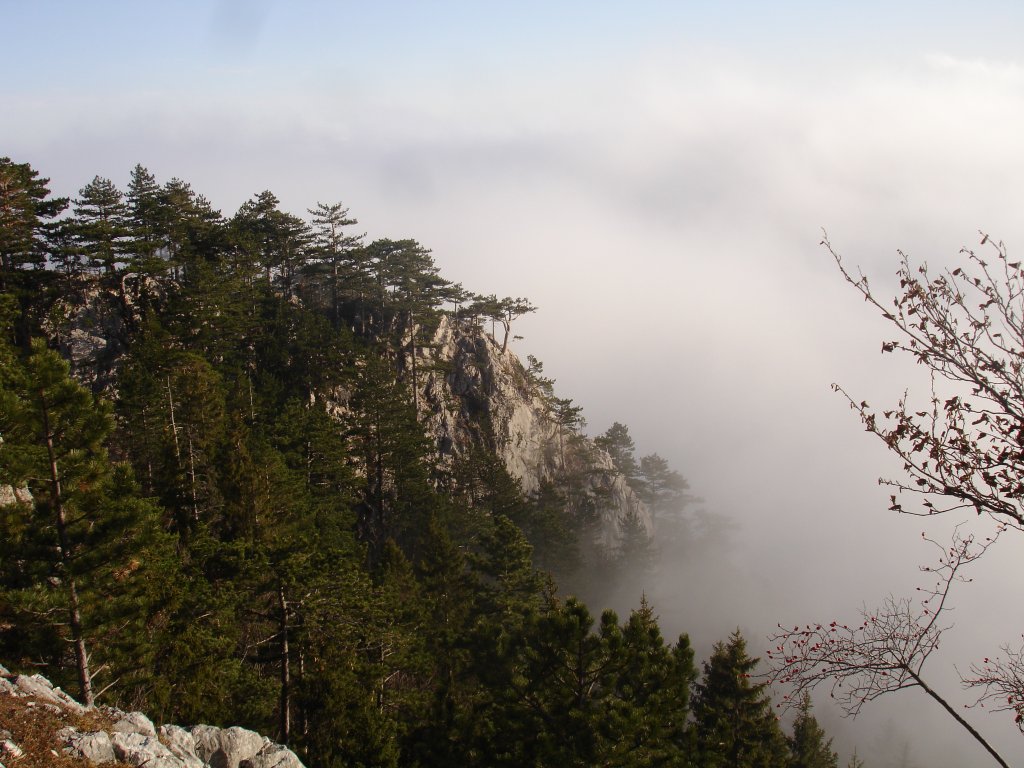 Blick von der Hohen Wand hinunter zu der Nebeldecke die das Schneebergtal verdeckt