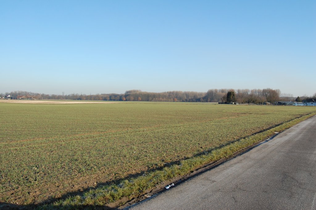 Blick in das Hoppbroich bei Mnchengladbach Giesenkirchen. Dieses Waldstck trennt Giesenkirchen von der Gemeinde Korschenbroich und dient der Naherholung als auch der Wassergewinnung fr Mnchengladbach.