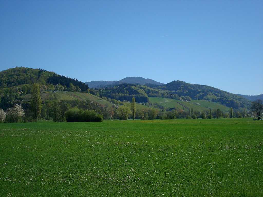 Blick ins Glottertal im Schwarzwald, am Anfang des Tales wächst noch der Wein, März 2011