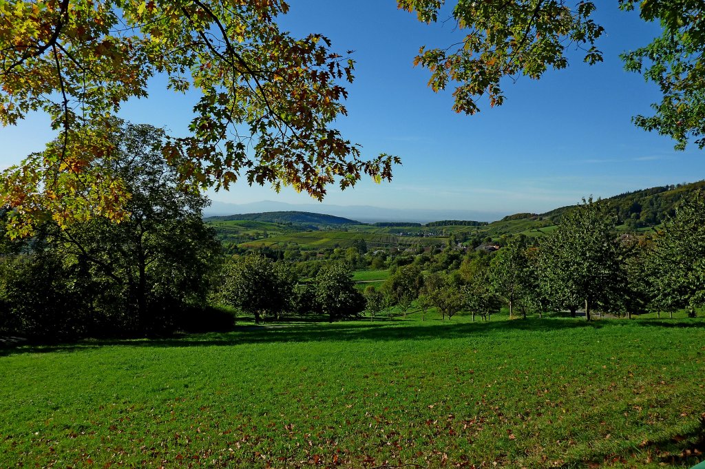 Blick ins Markgrflerland, erste Laubfrbung kndigt sich an, Okt.2011