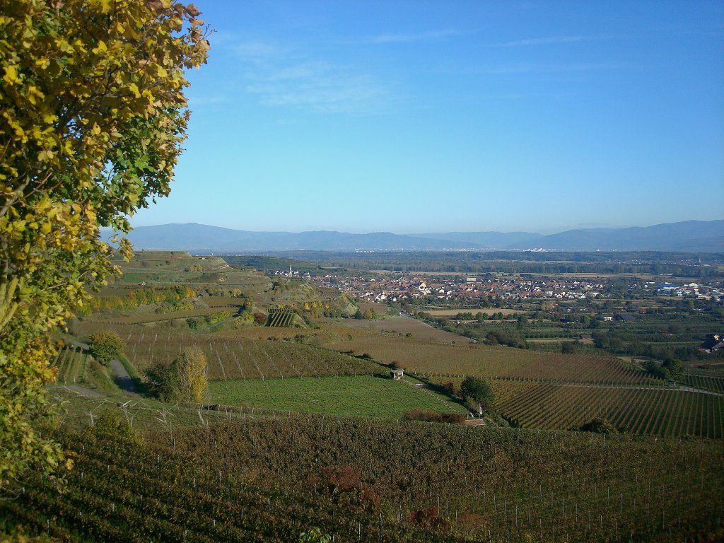 Blick vom Kaiserstuhl ber Ihringen nach Freiburg und zum Schwarzwald, Okt.2010