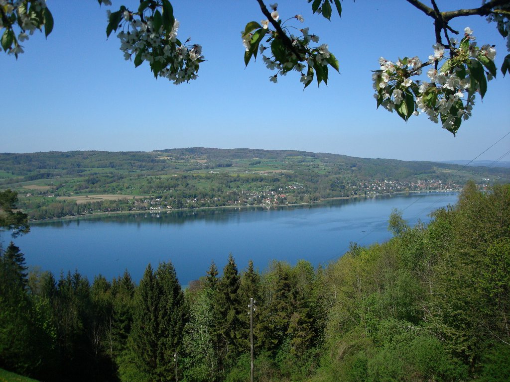 Blick von Klingenzell im Kanton Thurgau auf den Untersee, westlichster Teil des Bodensees, April 2010