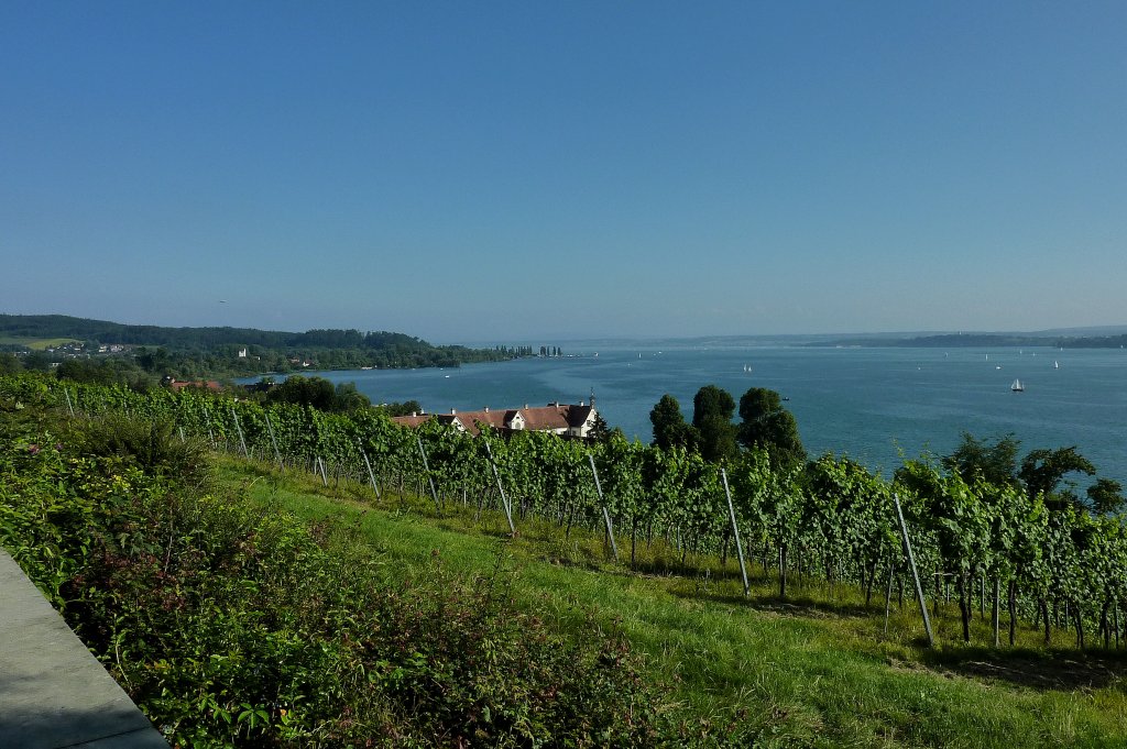 Blick von der Klosterkirche Birnau auf den Bodensee, Aug.2011