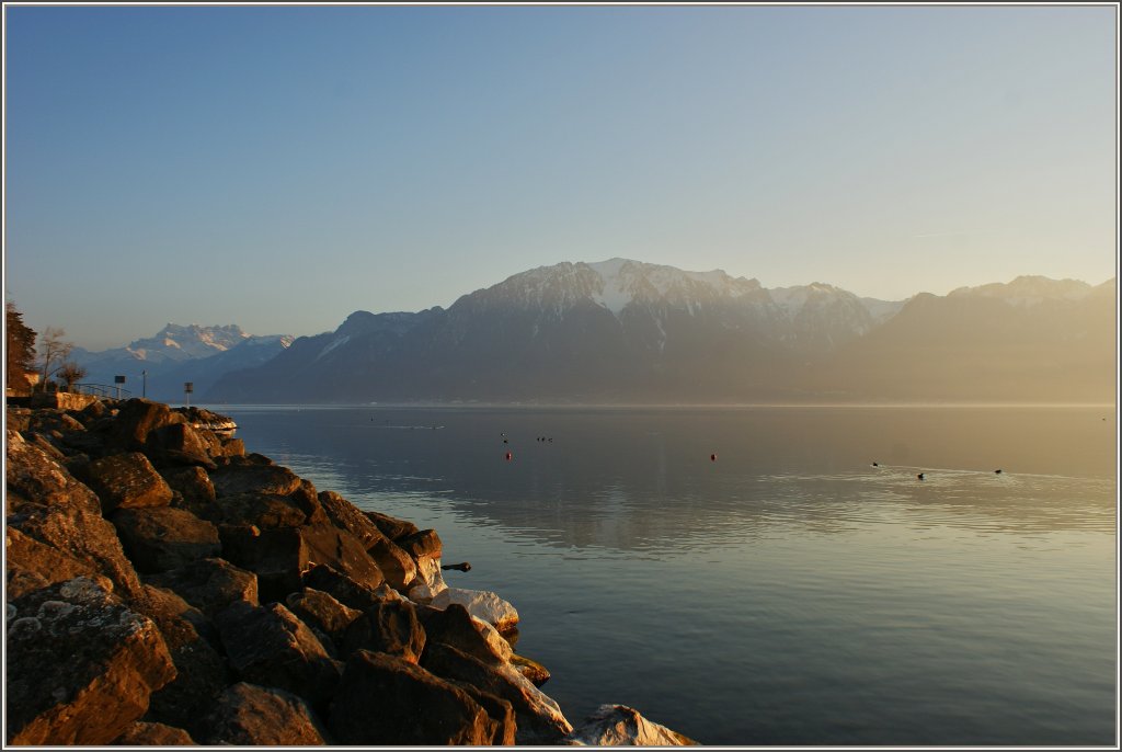 Blick von La-Tour-de-Peilz ber den Genfersee am Abend.
(27.02.2012)