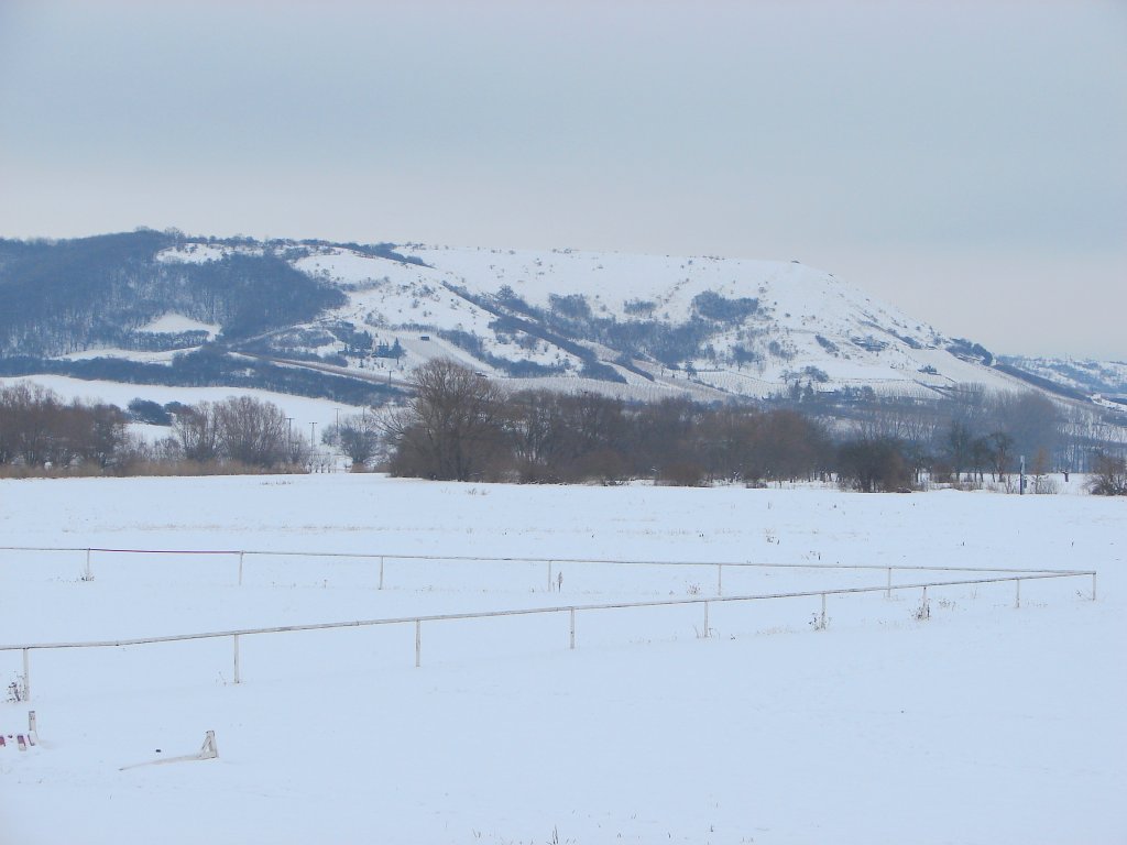 Blick von Laucha an der Unstrut zum Nssenberg bei Weischtz - 17.01.2010
