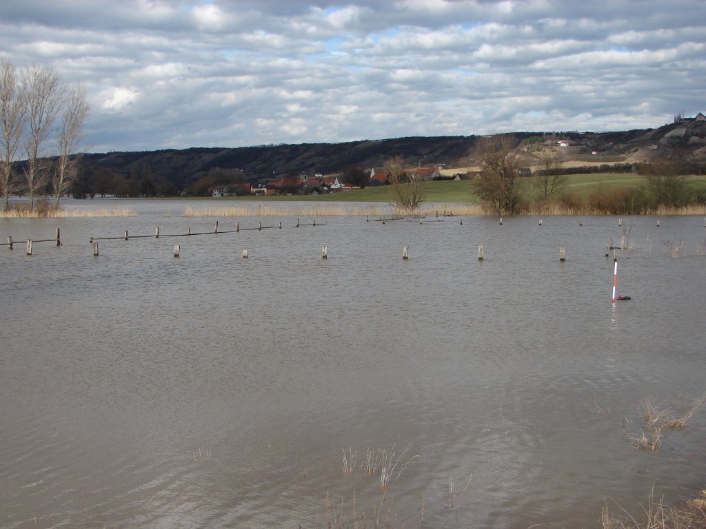Blick von Laucha Richtung Dorndorf ber das Hochwasser auf den Unstrutwiesen - 28.02.2010
