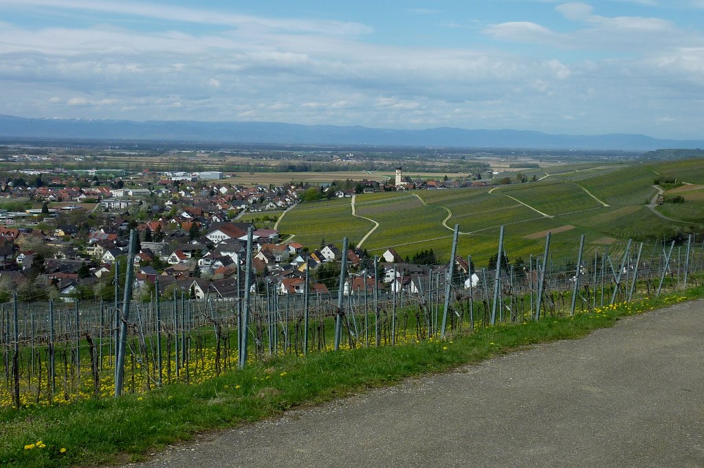 Blick von der lbergkapelle nach Kirchhofen und in die Rheinebene, im Hintergrund die Vogesen, April 2012