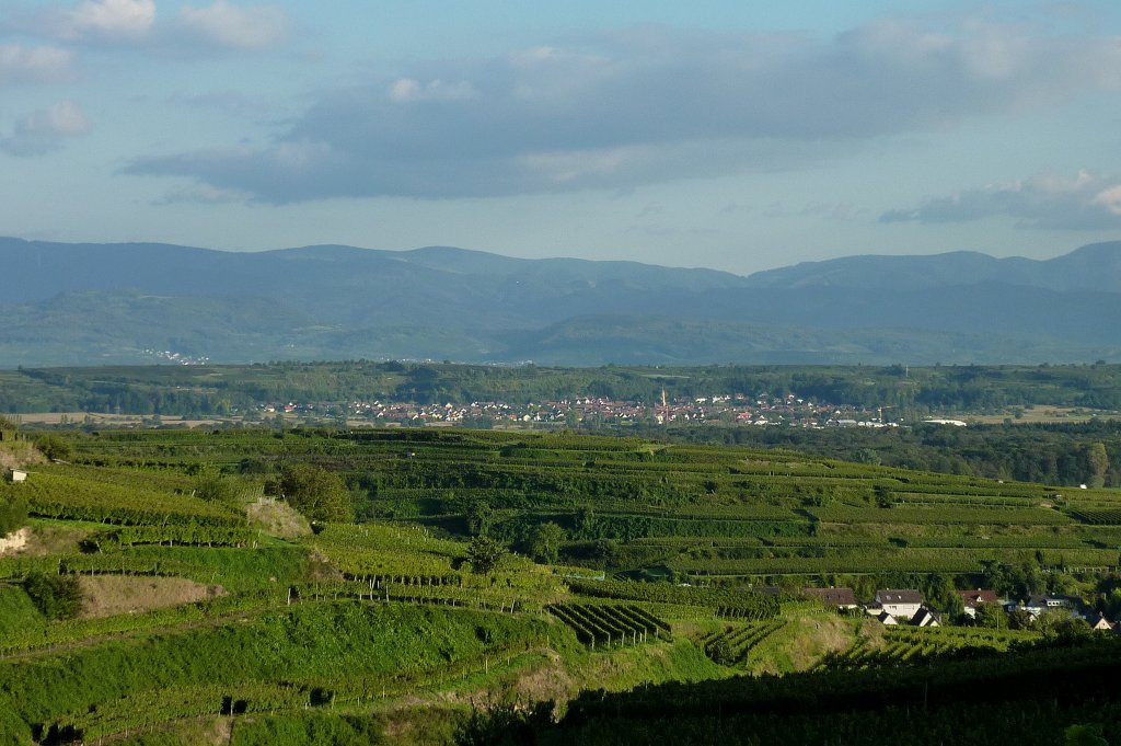 Blick vom Lenzenberg im Kaiserstuhl auf den Weinort Merdingen am Tuniberg, im Hintergrund der Schwarzwald, Sept.2011