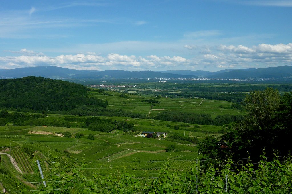 Blick vom Lenzenberg im Kaiserstuhl nach Freiburg und zum Schwarzwald, Juni 2012  