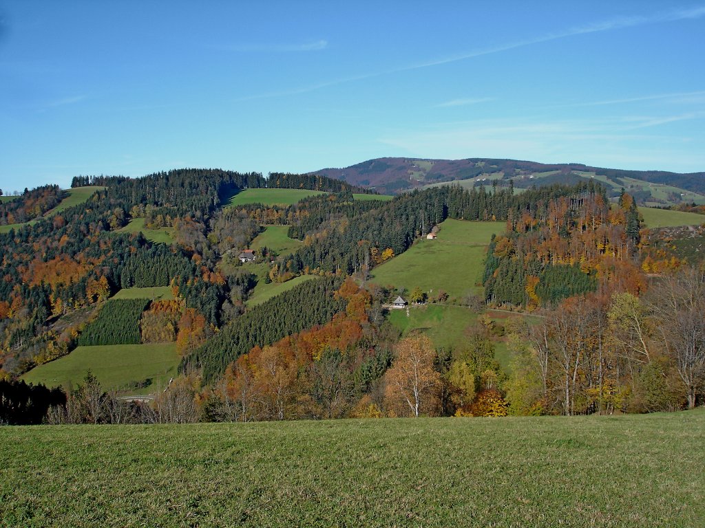 Blick vom Lindenberg bei St.Peter zum 1241m hohen Kandel, dem hchsten Berg des mittleren Schwarzwaldes, Nov.2006