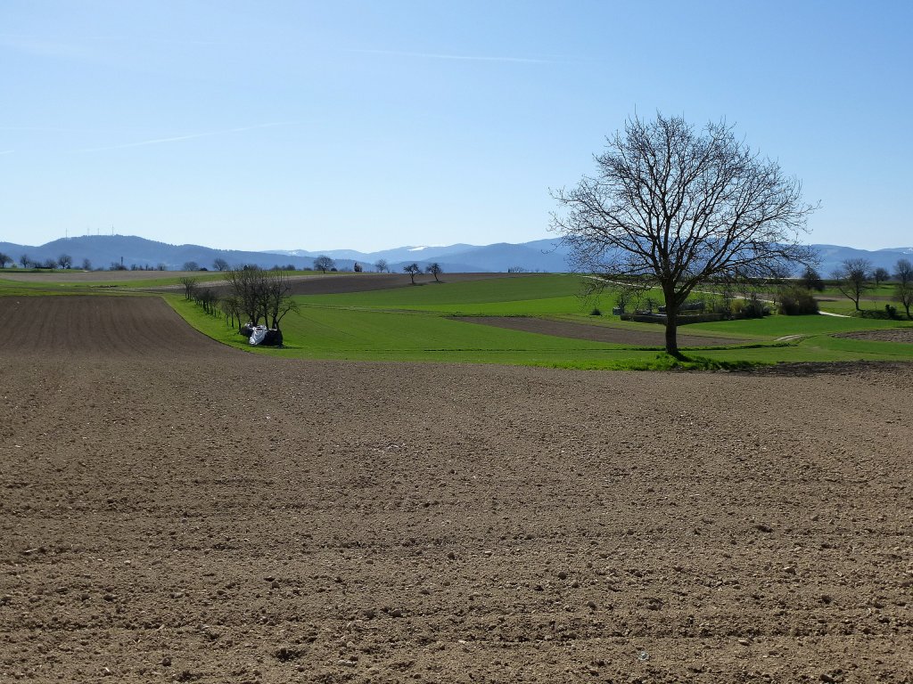 Blick vom Marchhügel zum Schwarzwald am 17.April 2013
