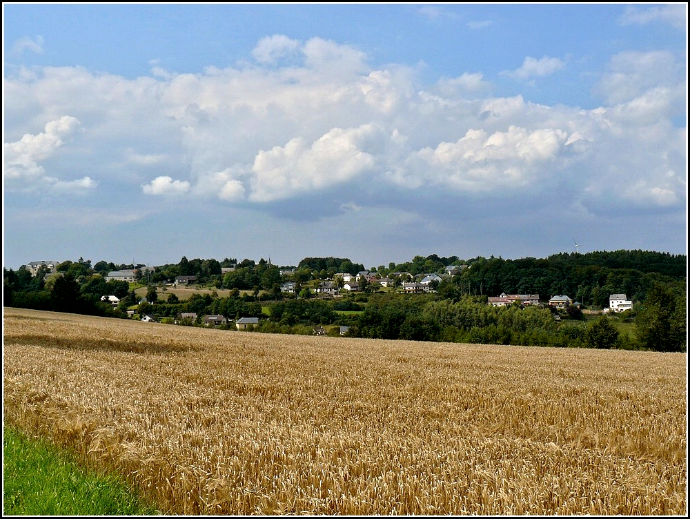 Blick nach Eselborn. 12.08.2010 (Hans)