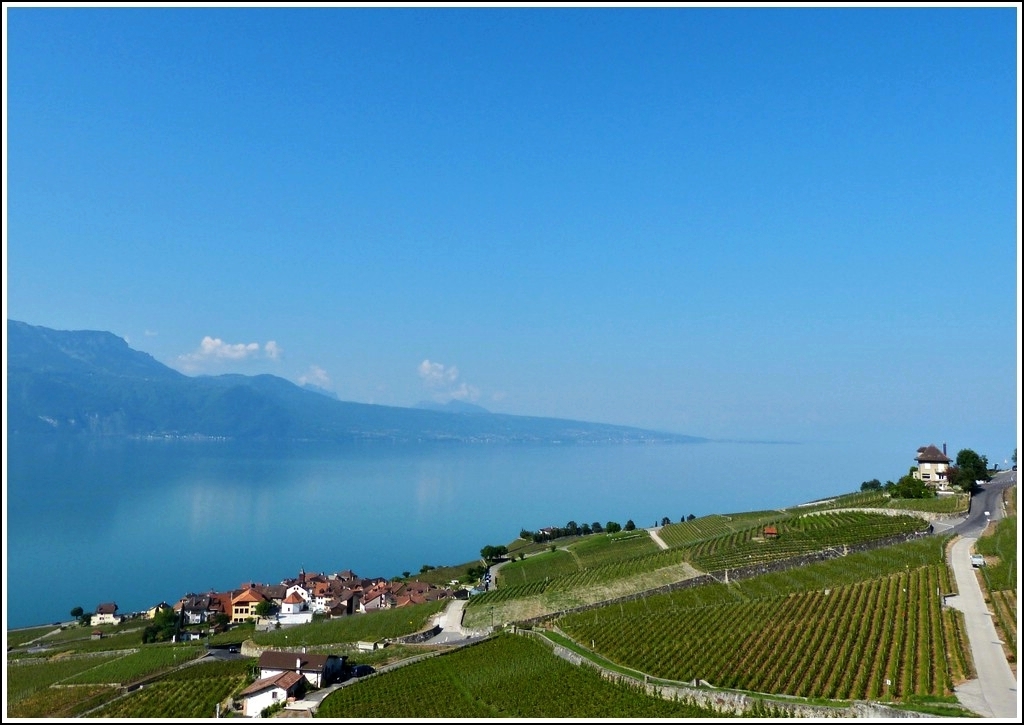 Blick nach Rivaz. Chexbres, 28.05.2012 (Jeanny)