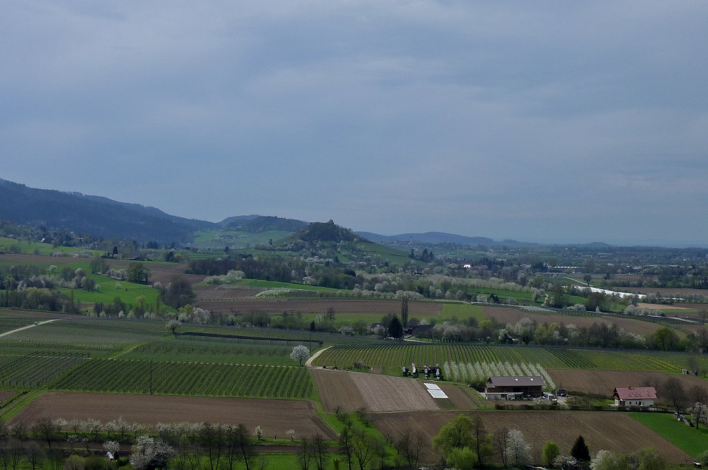 Blick von der lbergkapelle nach Sden ins Markgrflerland, April 2012