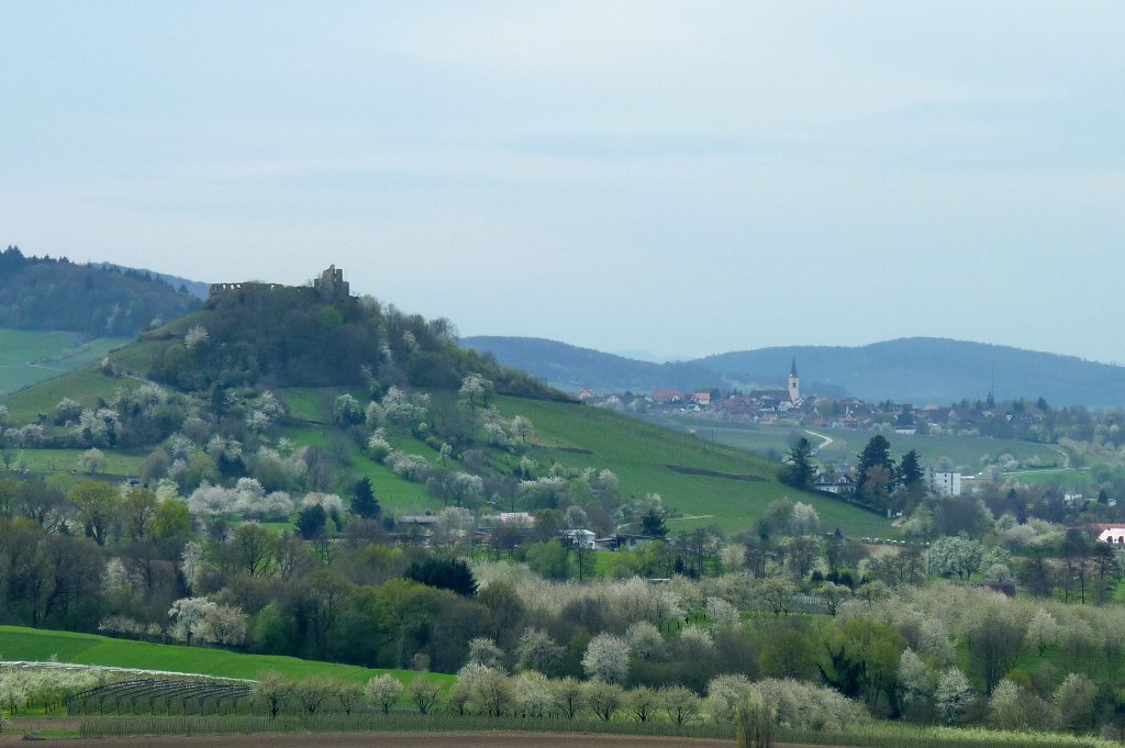 Blick von der lbergkapelle zu der Burgruine Staufen und dem Weinort Ballrechten im Markgrflerland, April 2012 