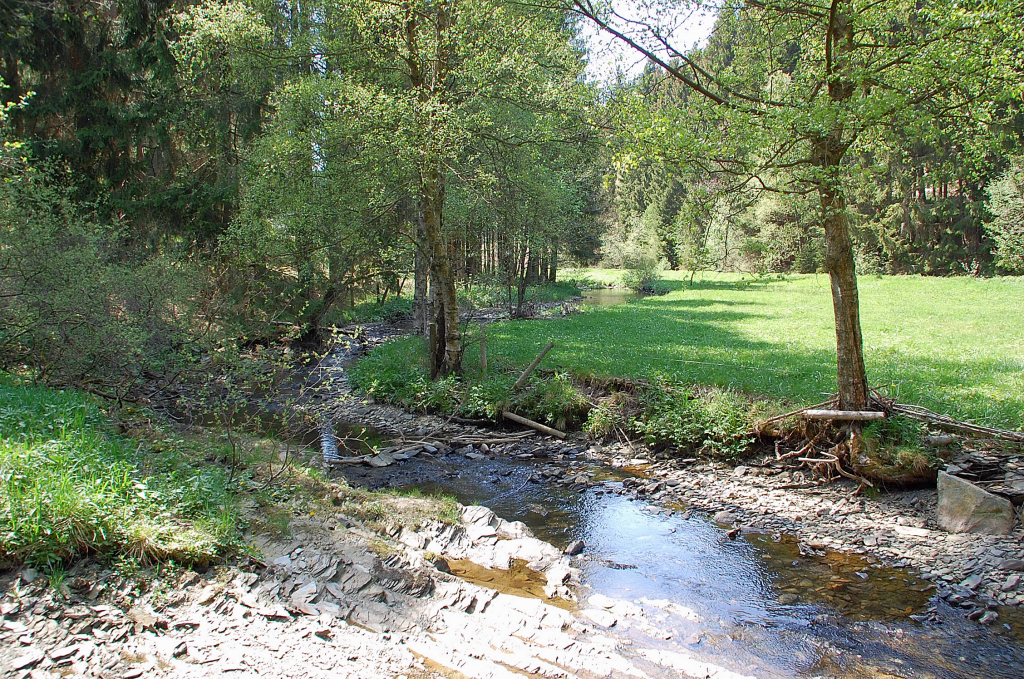 Blick in den Perlenbach, ber die nicht zu erkennende Mndung des Fuhrtsbachs 7.5.2011.