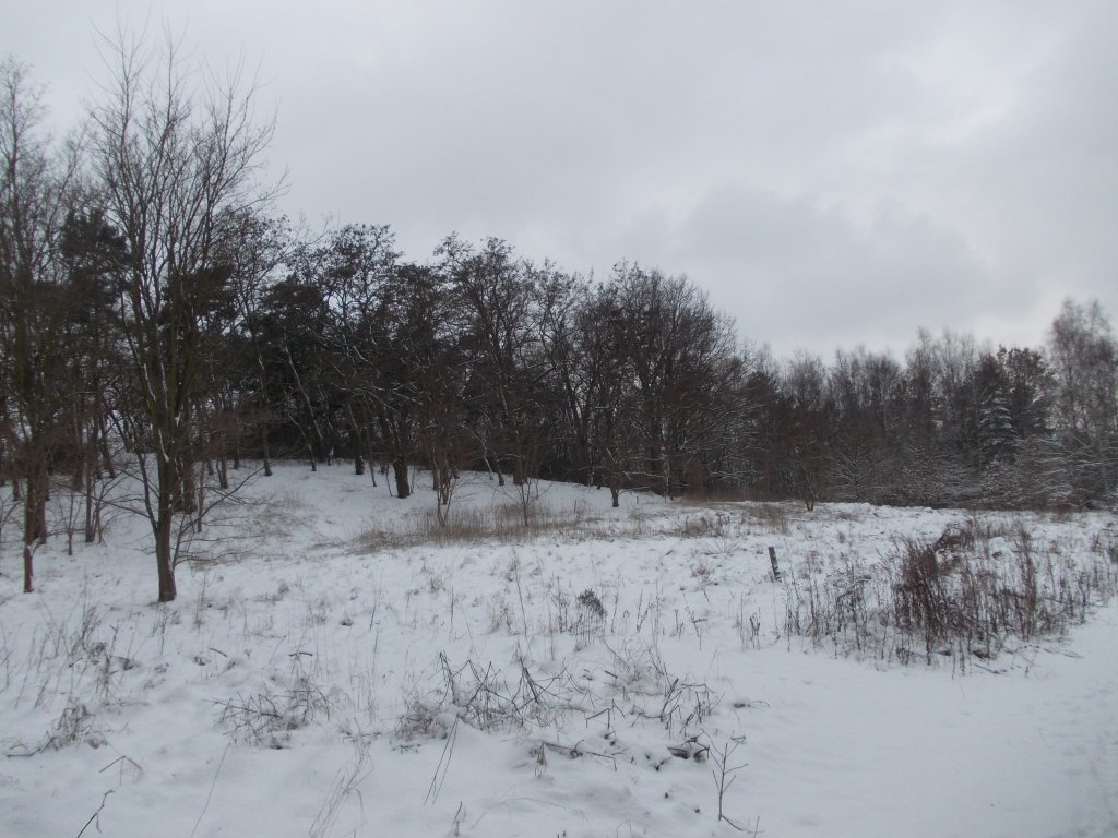 Blick in Richtung Weinberg in Bad Belzig am 12.03.13