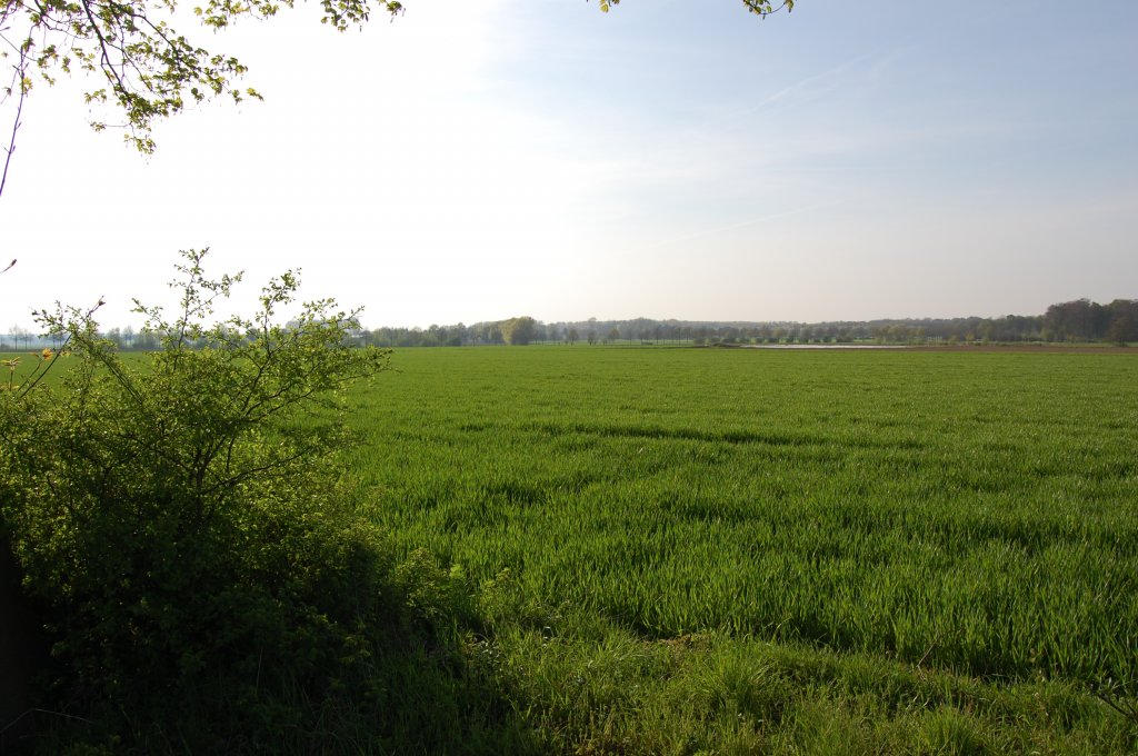 Blick von Steinhausen ber die Felder von Giesenkirchen. Vor vielen hundert Jahren fand hier der Truchseschen Krieg sein Schlachtfeld. Im Hintergrund ist das Hoppbroich zuerkennen.