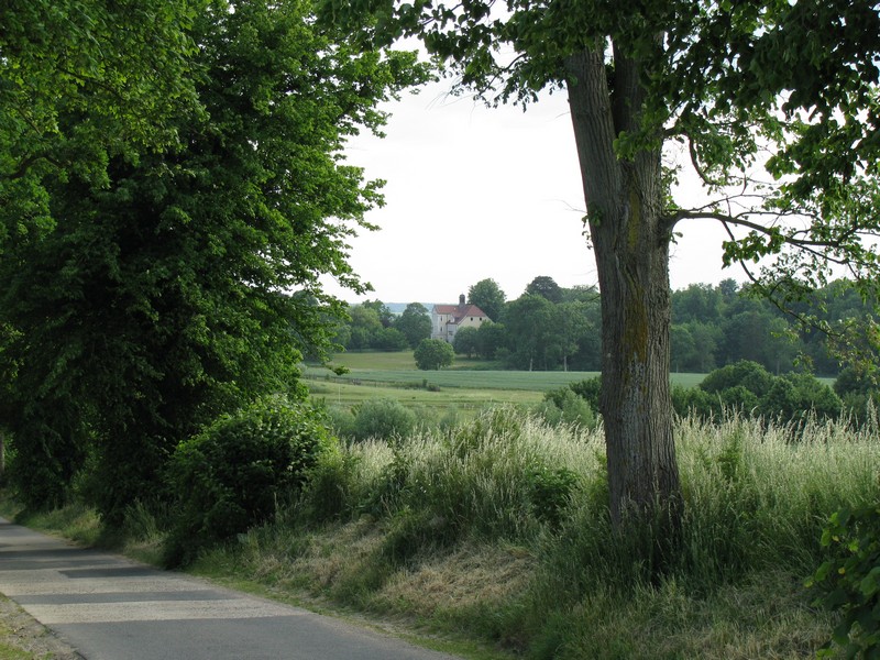 Blick von der Straeneinmndung zur L 01 zum Landgut Oberhof (NWM), 06.06.2008