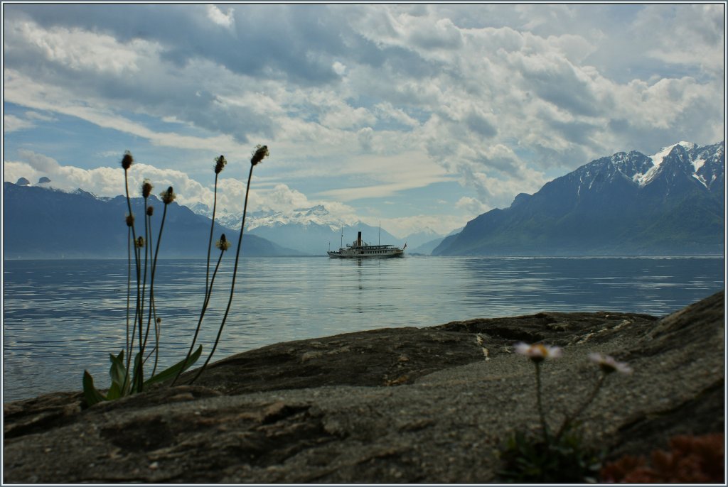 Blick von St.Saphorin ber den Genfersee in Richtung Wallis.
(28.05.2013)