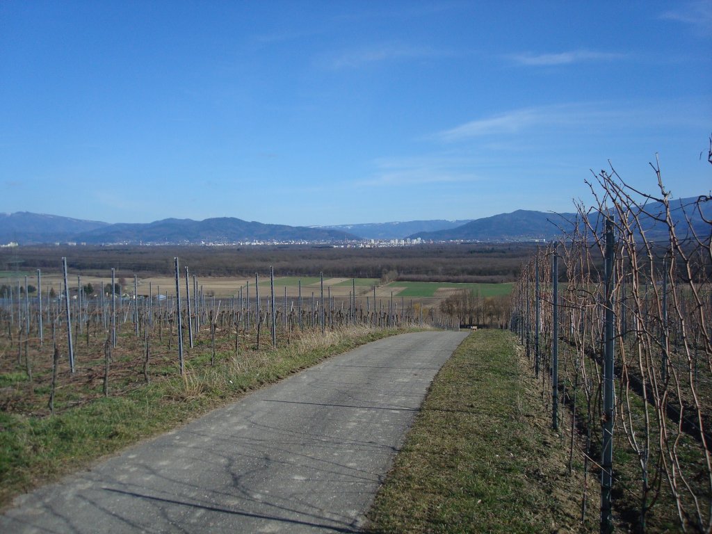 Blick vom Tuniberg auf Freiburg und den Schwarzwald,
Mrz 2010