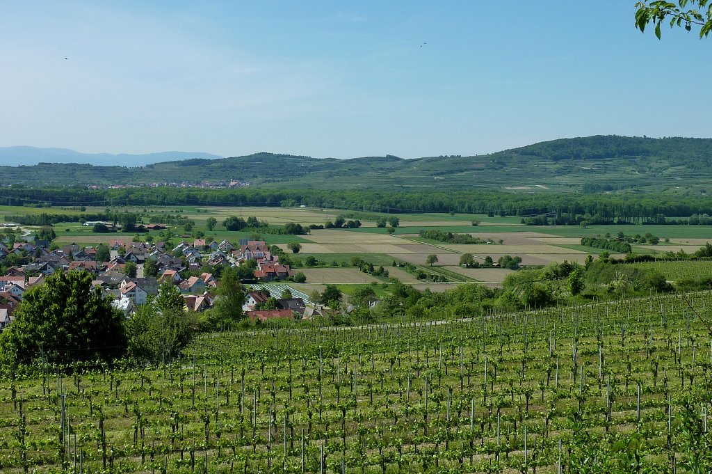 Blick vom Tuniberg zum Kaiserstuhl, im Vordergrund der Weinort Merdingen, dahinter Ihringen, Mai 2012