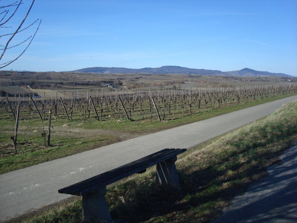 Blick vom Tuniberg zum Kaiserstuhl,
Mrz 2010