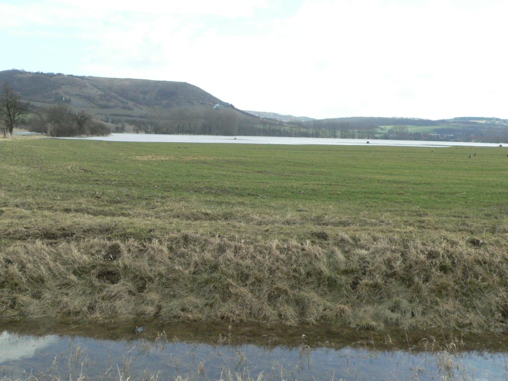 Blick ber die Aue in Laucha Richtung Nssenberg - 02.03.2010
