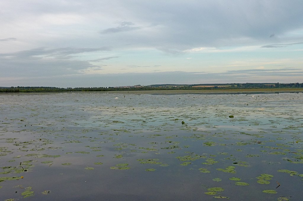 Blick ber den Federsee, Aug.2012