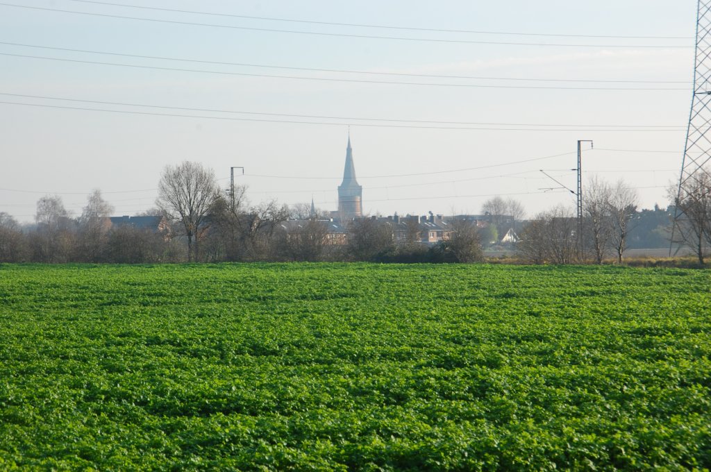 Blick ber die Felder in Richtung Dlken. 21.11.2010